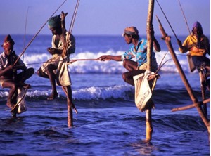 ˹����������