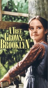 ��³�����п���