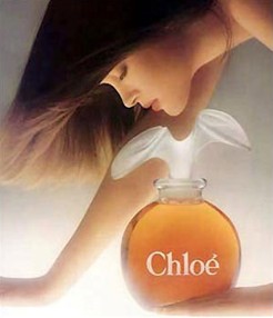 ����ʶ����