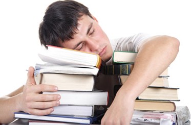 ˯����Ҳ��ѧϰ