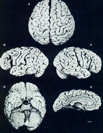 ����˹̹�Ĵ���