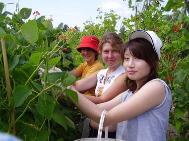 Wwoofing it in the UK