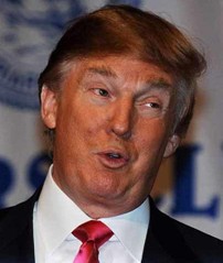 ���ɵ�•������