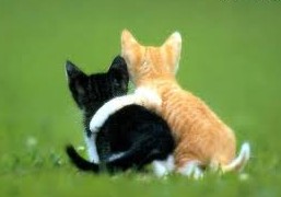 When Your Classmates Really Hate You