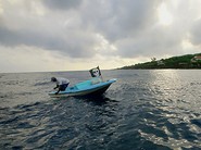 ����������У�׷���ع�007�ĽŲ�