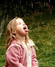 Ʒ��ѩ����ζ