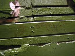 Nail Holes ��������