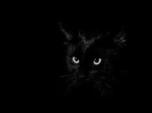 The Black Cat ��è by Edgar Allan Poe