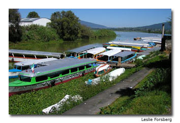 Colorful wooden boats line a walkway along an inlet of Lake P��tzcuaro, awaiting passengers to the lake��s islands.
