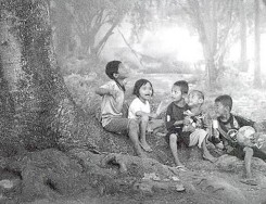 ���ŵ�ͯ������ The Vanished Woods of Childwood