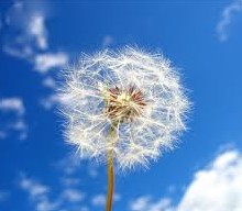 һ����һ������ Everybody Has a Dream