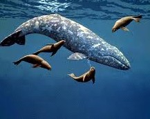 ��� Back from Despair