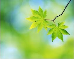 ���յ���ʾ Spring