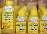 A Cow-urine (��С��)-based Soft Drink Comes to Indian Market