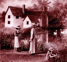 �ޱȵ�Ǿޱ Ruby's Roses