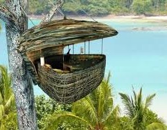 �ȼ٣���Ҫ�߸����� Vacation on the Treetop