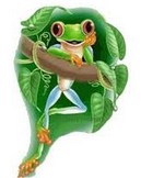 �����ܡ�����־���¡��������Լ�