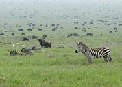 ����Ǩ�㹤��ʦ