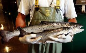 ��ҳ�ת��������