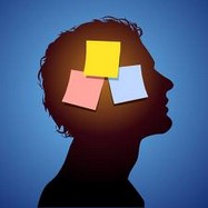 ���Ƽ������İ�������