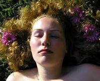 ��֮�� Dream Land