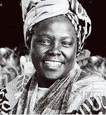 �����������