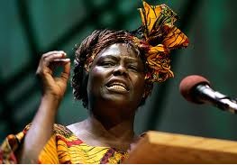 Ů�˳������� Women Can Contribute