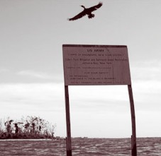 Ұ��������ǡ��� When Wildlife Comes to the City