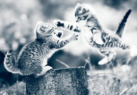 ������ս����ʤ��ֻ���� Just for Today